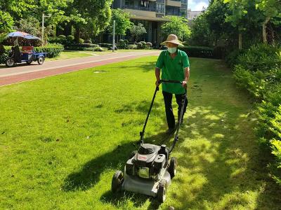 綠化修剪