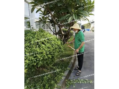 工廠綠化種什麽（me）？