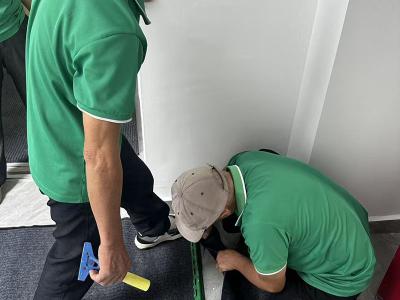 地毯清洗